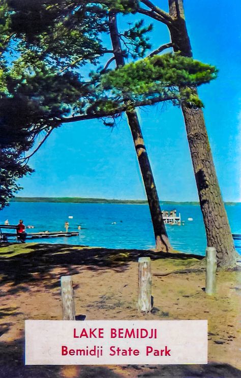 Minnesota Postcard: "Lake Bemidji - Towering Pines - Sky Blue Water - Fine Beaches at Bemidji State Park near the home of Minnesota's Paul Bunyan and his Blue Ox, Babe" Bemidji Minnesota, Babe The Blue Ox, White Bear Lake Minnesota, Blue Mounds State Park Minnesota, Leech Lake Minnesota, Minnesota Lake, Paul Bunyan, Minnesota State, Travel Postcard