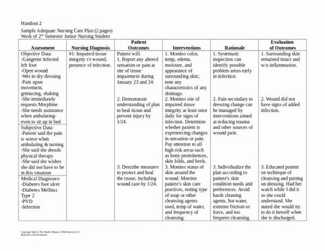 Nursing Care Plan Template, Care Plan Template, Nursing Diagnosis, Nursing Care Plan, Action Plan Template, Teaching Plan, Nursing Care, Document Templates, Template Word