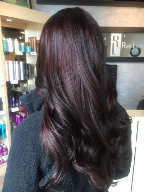 Mahogany Balayage Hair, Plum Tinted Brown Hair, Dark Black Plum Hair Color, Burgundy Hair Brunettes, Black Hair Mahogany Balayage, Subtle Black Cherry Hair, Black Cherry Plum Hair Color, Dark Brown Purple Tint Hair, Subtle Burgundy Balayage