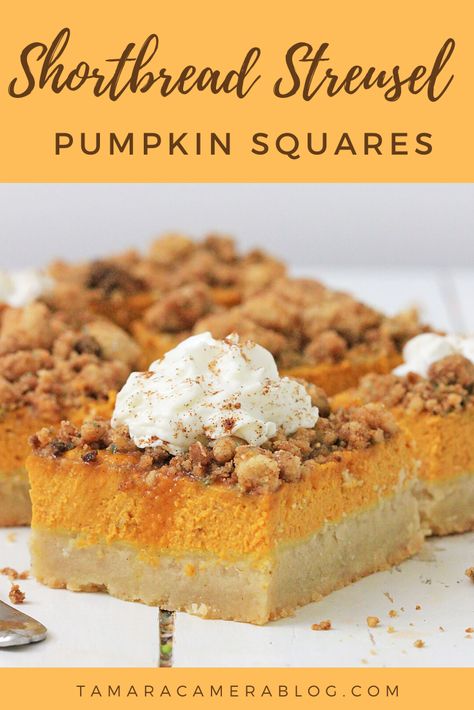 Shortbread Streusel Pumpkin Squares are PERFECT! A recipe for a quick homemade dessert, with a crunchy crust and cinnamon streusel that melts in your mouth. Pumpkin Party Recipes, Cheese Ball Bites, Pumpkin Squares, Quick Easy Recipes, Cinnamon Streusel, Homemade Dessert, Square Recipes, Slow Cooker Desserts, Turkey Recipes Thanksgiving