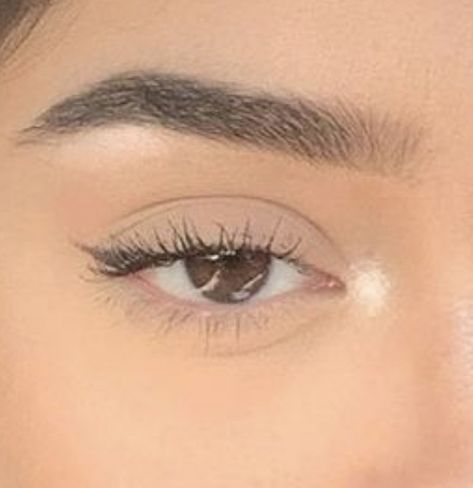 Soft Brown Eyeliner Natural, Soft Black Eyeliner, Small Eyeliner Makeup, Natural Makeup For Almond Eyes, Dainty Eyeliner, Almond Eye Makeup Eyeliner, Small Eyeliner Wing, Almond Eyes Aesthetic, Tiny Eyeliner