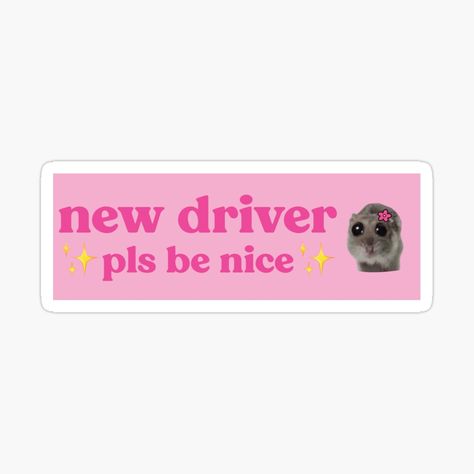 sad hamester meme Hamster Meme, Student Driver, New Driver, New Drivers, Be Nice, Aesthetic Stickers, Cat Memes, Art Pictures, Cartoon Art