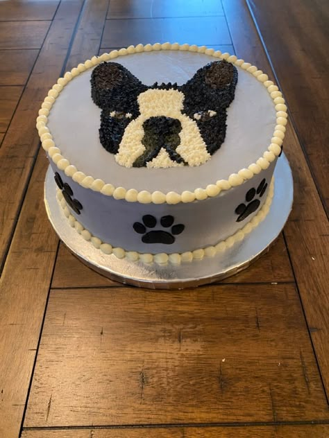 Boston Terrier Cake Ideas, Frenchie Cake Ideas, Frenchie Birthday Cake, Frenchie Cake, French Bulldog Cake, Boston Terrier Cake, Boston Cake, Dogs Things, Pug Cake