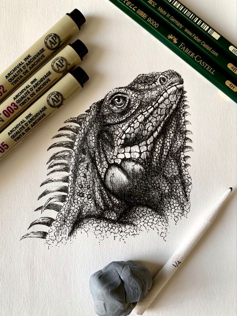 #pinterestinspired #triedpin #iguana #sketch #pensketch #inkdrawing #artoftheday #doodle #drawing #pencilsketch #wildlife #reptile #art Reptiles Sketch, Pen Art Animals, Iguana Sketch, Reptile Sketch, Reptiles Drawing, Fine Liner Sketch, Reptile Drawings, Iguana Drawing, Iguana Tattoo