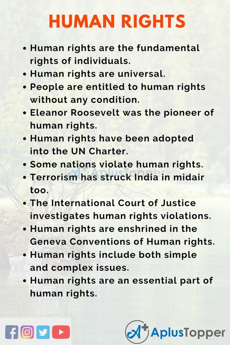 What Are Human Rights, Geneva Convention, Netflix Guide, Human Rights Quotes, Indian Law, English Essay, Fundamental Rights, Violation Of Human Rights, United Nations Human Rights