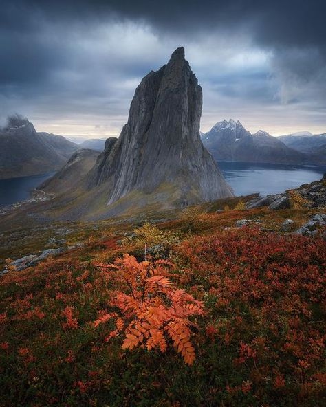 David Aguilar on Instagram: "Incredible autumn colors in Lofoten and Senja. Probably my favorite season in the norwegian archipelago. 🍁 For workshops to Lofoten and Senja, check out the link in my bio. . . . . #fantastic_earthpix #earthlandscape #norway #norge #norwaynature #norway_photolovers #lofoten #senja #depthsofearth #visitlofoten #naturegramy #planet_earth_shots #discoverglobe #hellofrom #earthoutdoors #earthporm #bns_landscape #dream_image #fineartphotography #fantastic_earth #yourshot Norway Nature, Northern Norway, Dream Images, Seascape Photography, Autumn Colors, Archipelago, Amazing Destinations, Tourist Destinations, Type 3