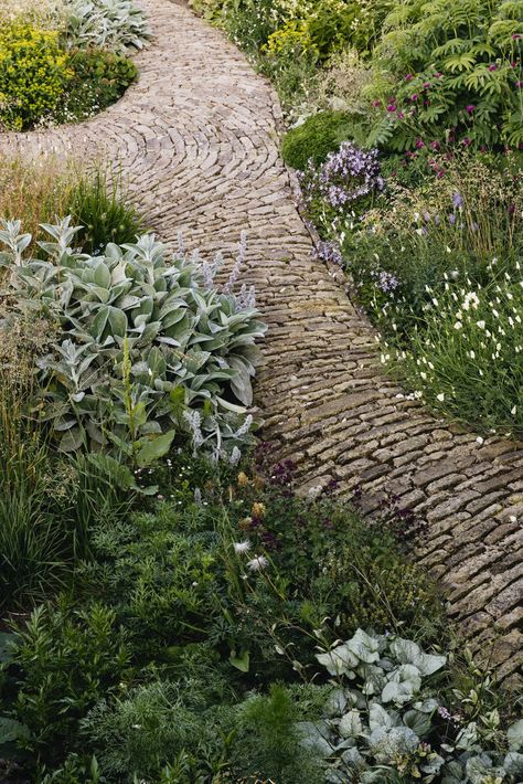 A naturalistic cottage garden rooted in the wild Derbyshire uplands | House & Garden English Cottagecore, Balcony Greenhouse, Norfolk Cottages, Landscaping Patio, Stone Paths, Naturalistic Garden, Deck Balcony, Cotswolds Cottage, Plants Vegetables