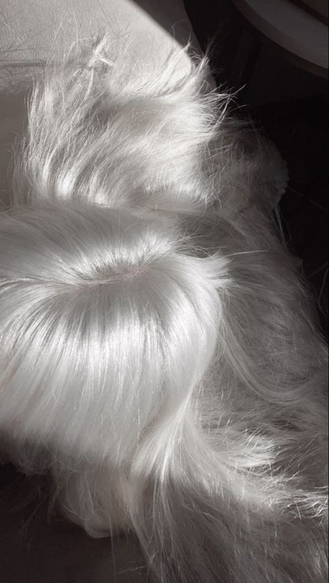 white hair aesthetic Shaggy White Hair, Long White Hair Aesthetic, Girl With White Hair, Silver Hair Aesthetic, White Hair Aesthetic, Curly White Hair, White Silver Hair, White Curly Hair, Short White Hair