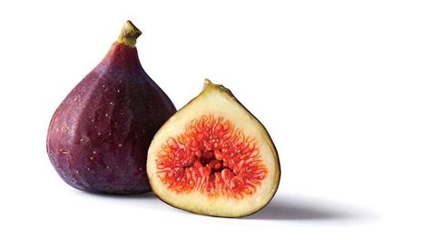 Fig Varieties, Papa John, Southern Living Plants, Fig Fruit, Sweet Like Candy, Papa Johns, Grape Bunch, Growing Fruit, Doodle Illustration