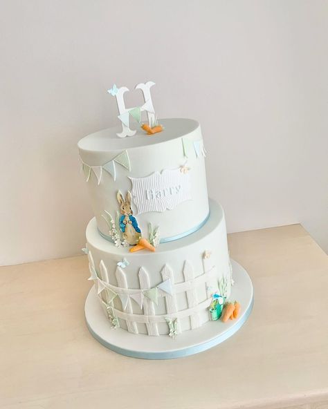 Peter Rabbit Christening Cake, Peter Rabbit Baby Shower Cake, Peter Rabbit Birthday Cake, Tooth Party, Peter Rabbit Cake, 2nd Birthday Cake, Boys 1st Birthday Cake, Duck Cake, Peter Rabbit Birthday