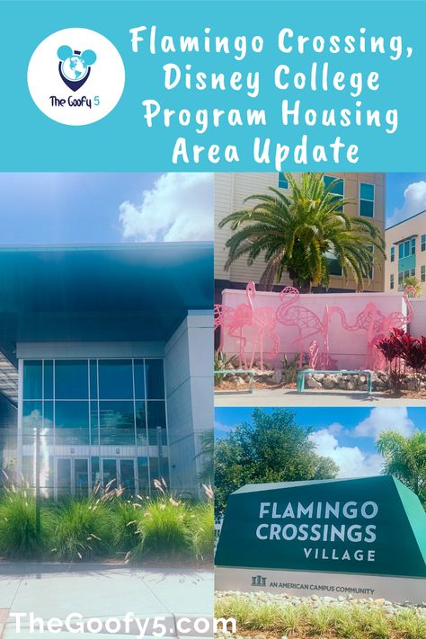 Check out the progress in the Flamingo Crossing and new Disney College Program housing area! Hotels, shopping, and housing are all coming along! Disney College Program Housing, Disney College Program, Orlando Theme Parks, Disney College, Disney Orlando, Alaska Travel, Central Florida, Theme Parks, Theme Park