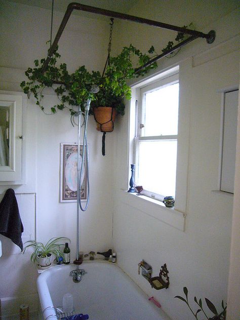 ivy in bathroom by joguldi, via Flickr Bohemian Bathroom Ideas, Bathroom Plants Decor, Bohemian Bathroom, Light Bathroom, Bathroom Plants, Indoor Gardens, Unique Bathroom, Small Bathroom Design, Small Bathroom Decor