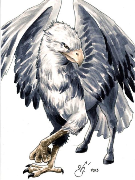 Hippogriff Harry Potter Creatures, Art Harry Potter, Harry Potter Tattoos, Mythical Animal, Harry Potter Drawings, Potter Art, An Eagle, Wizarding World Of Harry Potter, Mythical Creatures Art