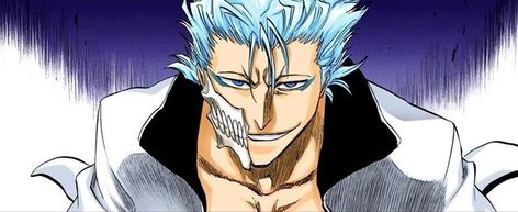 Bleach Bleach Twitter Header, Grimmjow Jeagerjaques Icon, Grimmjow Banner, Grimmjow Gif, Bleach Header, Bleach Banner, Grimmjow Jeagerjaques, Toushirou Hitsugaya, Bleach Pfp