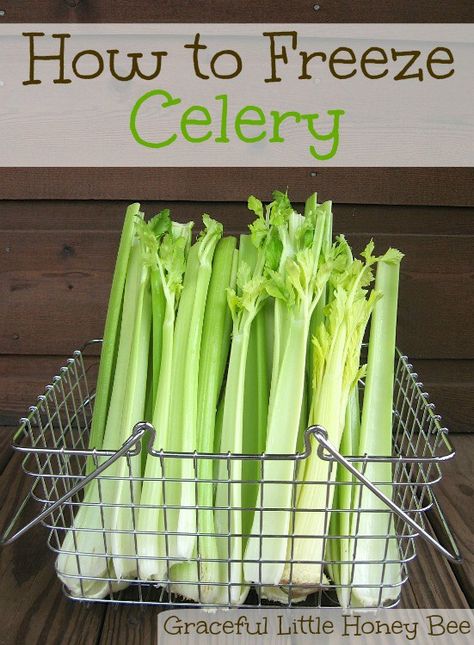 Learn how to freeze diced celery to save time and money. Works great in soups and in the slow cooker. Freeze Celery, How To Freeze Celery, Freezing Vegetables, Celery Recipes, Freezer Meal Prep, Frozen Veggies, Food Saver, Freezer Cooking, Frozen Vegetables