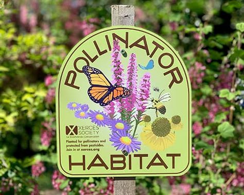 Garden Habitat, Butterfly Habitat, Lawn Alternatives, Wild Bees, American Garden, Bee Garden, School Garden, Pollinator Garden, Wildlife Habitat