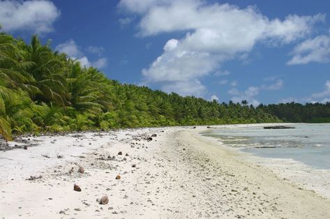 article-image Palmyra Atoll, Wake Island, Island Survival, Uninhabited Island, Island House, Remote Island, Desert Island, Nature Conservation, North Beach