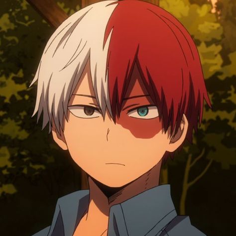 Todoroki X Reader, X Reader, Hero Academia, Red Hair, The Story, Wattpad, Red, Hair, Anime