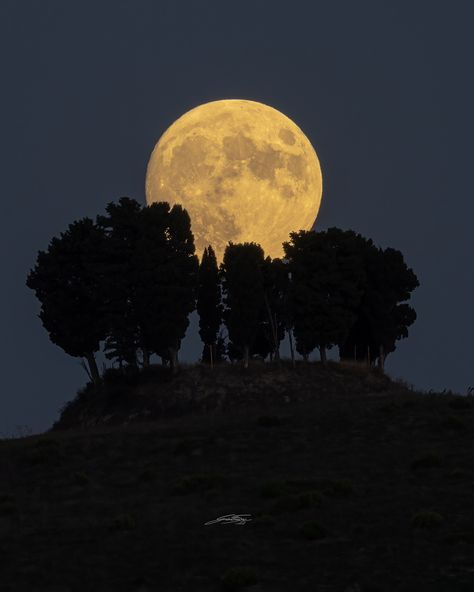 APOD: 2023 September 30 - A Harvest Moon over Tuscany Moon Sunset, Nasa Pictures, Astronomy Pictures, Traditional Names, Animal Parade, Autumnal Equinox, Moon Photography, Cypress Trees, Super Moon