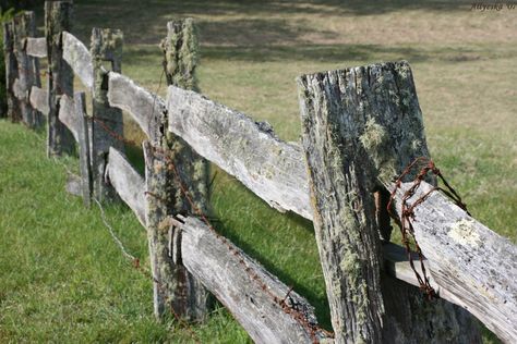 Beautiful old fence | Goegreous old fence on the Durras Nort… | Flickr Farm Fences, Wooden Fencing, Ranch Fencing, Wood Fences, Ranch Sign, Rustic Fence, Farmhouse Console Table, Old Fences, Rail Fence