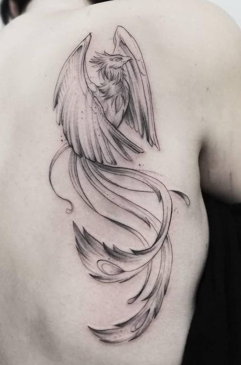 Ideas tattoo for woman Phoenix Tattoo Sketch Design, Phoenix Inner Arm Tattoo, Smokey Phoenix Tattoo, Pheinox Bird Tattoo, Phoenix Tattoo Harry Potter, Phoenix Outline Tattoo, Phoenix Lotus Tattoo, Mythical Creature Tattoo, Phoenix And Dragon Tattoo