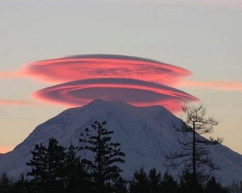 Lenticular clouds, technically known as altocumulus standing lenticularis, are stationary lens-shaped clouds that form at high altitudes, normally aligned at right-angles to the wind direction. Lenticular Clouds, Wow Photo, 달력 디자인, Matka Natura, Belle Nature, Mt Rainier, Pink Clouds, Naha, Alam Yang Indah