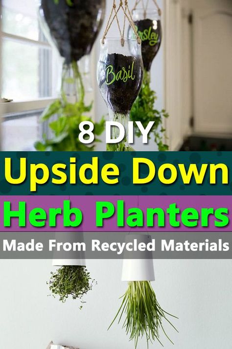 Upside Down Plants, Estate Grounds, European Apartment, Recycled Planters, Indoor Herbs, Fruit Container, Hanging Herb Garden, Hanging Herbs, Vegetable Garden Tips