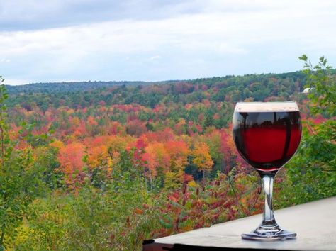 The 5 Most Beautiful Wineries In Maine Beautiful Wineries, Maine Road Trip, Wine Country Travel, Wine Trail, Ghost Hunting, A Whole New World, Best Vacations, Vacation Ideas, Bye Bye