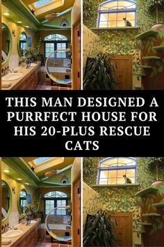 Jungle Images, Cat Paradise, Best Drink Recipes, Tattoo Quote, Animals Rescue, Amazing Funny Facts, Home Transformation, Best Drink, Best Comfort Food