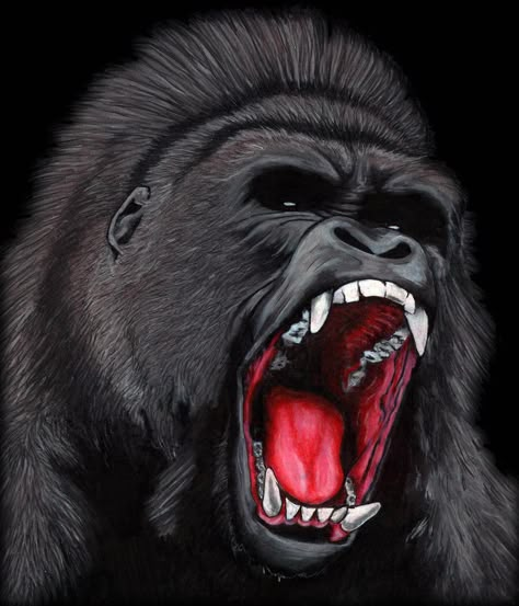 Gorilla Face Tattoo, Gorilla Drawing, Gorilla Wallpaper, African Warrior Tattoos, Ape Art, Angry Gorilla, Gorilla Face, Aztec Tattoos Sleeve, Calaveras Art