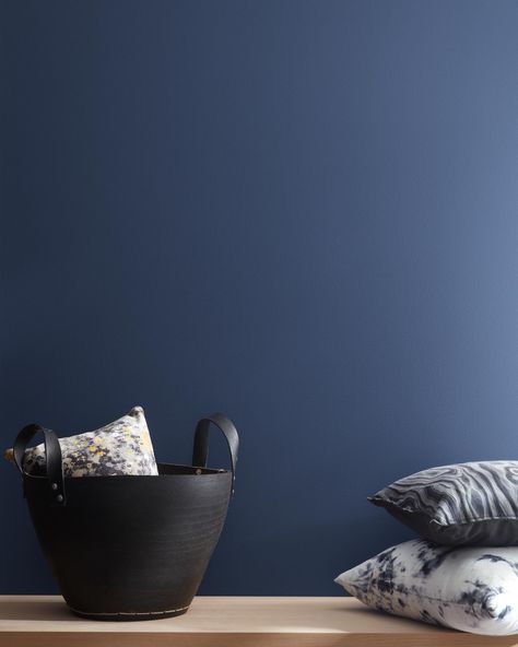 Paint Color Swatches, Benjamin Moore Blue, Blue Nova, Dark Blue Paint, Color Whisper, Paint Colors Benjamin Moore, Blue Paint Colors, Benjamin Moore Colors, Benjamin Moore Paint