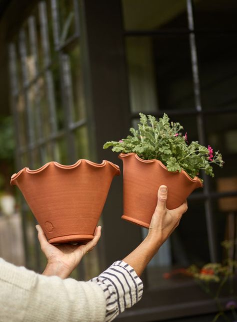 Terracotta Garden Pots | Metal Garden Planters | Rowen & Wren Terra Cotta Pots Garden, Veg Patch, London Family, Classic Garden, Terracotta Pot, Antique Plates, Pottery Crafts, Linen Shop, Terracotta Pots