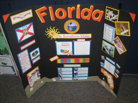 State Poster Board Project, State Project Poster Board, State Projects For Kids 5th Grades, Trifold Ideas, State Report Projects, History Fair Projects, Tri Fold Poster Board, Poster Board Ideas, Tri Fold Poster