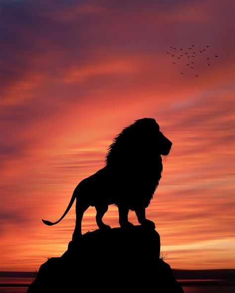 Aliasgar Dar shared a photo on VERO™ Safari Project, Lion Sunset, Lion Nature, Africa Sunset, Lion Silhouette, Africa Painting, African Sunset, Warriors Wallpaper, Pride Rock