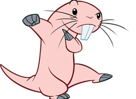 "He's a naked naked naked mole rat. Naked mole rat! He's Rufus!" Rufus Kim Possible, Disney Stained Glass, Mole Rat, Christmas Presents For Dad, New Step, Disney Wiki, Disney Images, Kim Possible