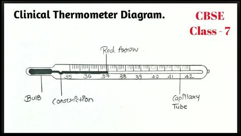 A medical thermometer is used for measuring human or animal body temperature. The tip of the thermometer is inserted into the mouth under the tongue, under the armpit, into the rectum via the anus, into the ear, or on the forehead. Thermometer Drawing, Science Diagram, Medical Thermometer, Science Diagrams, Science Drawing, Pokémon Heroes, Chemistry Education, Body Temperature, Art Drawings For Kids