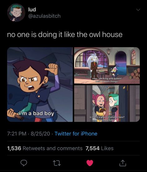 Watching And Dreaming The Owl House Poster, The Owl House Season 3 Fanart, Owl House Merchandise, The Owl House Animation, Owl House Theories, The Owl House Tumblr, Owl House Amity And Luz, For The Future The Owl House, The Owl House Quotes