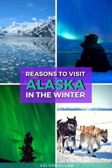 Would YOU visit Alaska in the winter? After spending 15 winters in Alaska (I grew up there) I can tell you five great reasons why to visit Alaska in the winter! Whether you want to see the northern lights in Fairbanks or watch the Iditarod start in Anchorage, there's plenty to do during Alaskan winters, and it's not that cold either! Read about the weather, events and things to do in Alaska during the winter, and more! #alaska #travel #wintertravel Anchorage Alaska Northern Lights, Winter In Anchorage Alaska, Anchorage Alaska Winter, Alaska In March, Alaska In Winter, Arctic Travel, Alaska Snow, Alaska Living, Alaska Itinerary