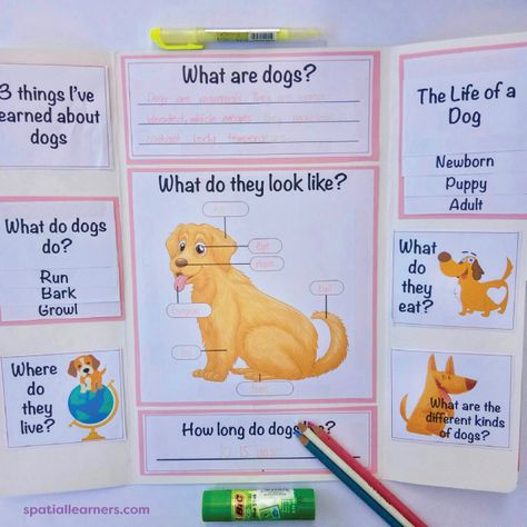 Dogs Activities For Preschool, 4h Dog Project Ideas, Dog Science Fair Projects, Dog Science, Activities For One Year Olds, Dog School, Childcare Activities, Kindergarten Learning Activities, Preschool Fine Motor