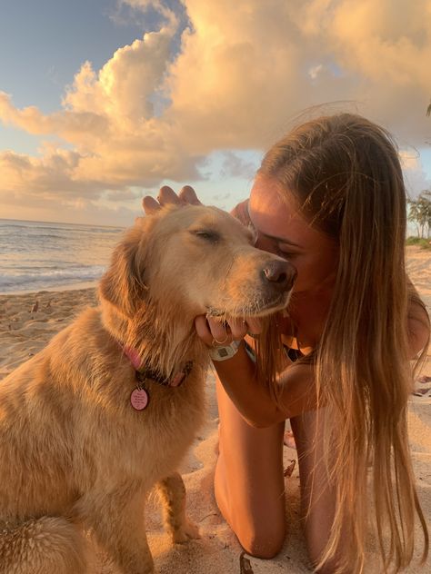 Golden Retriever Girl, 골든 리트리버, Really Cute Dogs, Golden Retriever Puppy, Retriever Puppy, Cute Animal Photos, Foto Inspiration, Summer Pictures, Beach Aesthetic