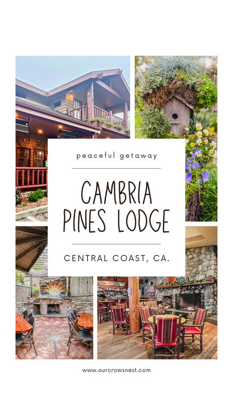 Looking for a peaceful getaway to the Central Coast in California? Look no further than the Cambria Pines Lodge, located in beautiful Cambria, California! Moonstone Beach, Hearst Castle, East Village, Breakfast Buffet, Private Patio, Room Service, Room Tour, Nature Trail, Front Desk