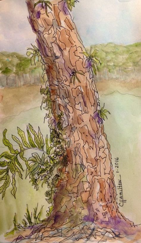 Tree bark Tree Bark Drawing, Bark Drawing, Tree Bark Painting, Elements Of Design Texture, Tree Bark Texture, Tree Drawings Pencil, Tree Textures, Texture Drawing, Watercolor Tree