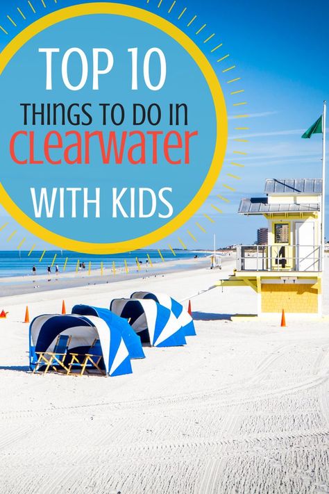 Clearwater Marine Aquarium, Beach House Tour, Fl Beaches, Clearwater Beach Florida, White Sand Beaches, Kids Things To Do, Beach Necessities, Cheap Things To Do, Clearwater Florida