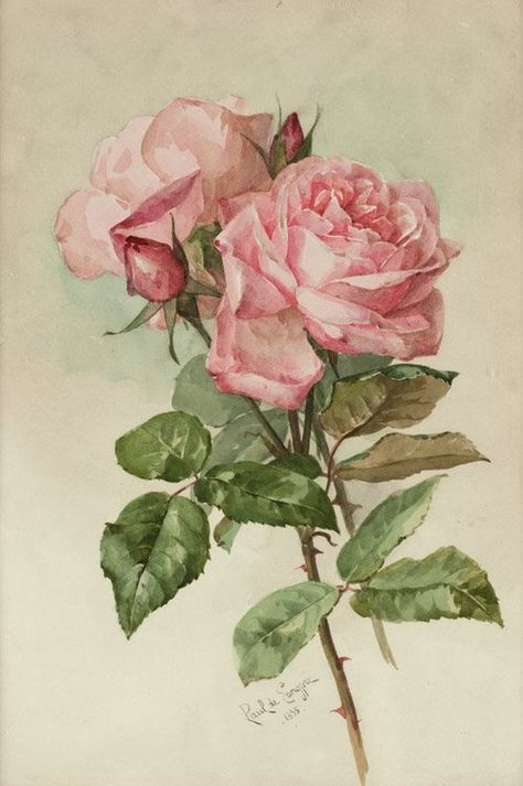 Paul de Longpré (1855–1911) - Pink roses, watercolor, 34,3 x 24,1 cm. 1895. Illustration Botanique, Rose Pictures, Rose Leaves, Rose Art, Rose Painting, Arte Floral, Vintage Rose, Art Floral, Vintage Roses