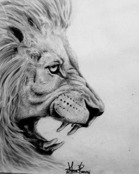 Lion, drawing pencil by @arkam #lion Roaring Lion Sketch, Lion Drawing Pencil, Lion Head Drawing, World Lion Day, Lion Sketch, Shading Drawing, Lion Artwork, Lion Drawing, Jesus Drawings