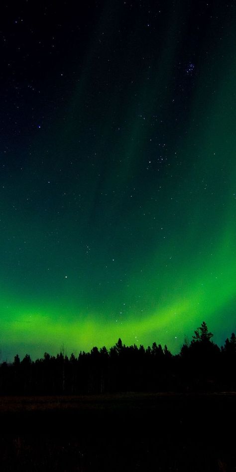 Captivating Aurora Borealis 4K Wallpaper Collection Aurora Borealis Wallpaper, Northern Lights Wallpaper, Best Wallpaper Hd, Northern Lights (aurora Borealis), 8k Wallpaper, Best Wallpaper, Phone Wallpaper Design, Breathtaking Beauty, The Northern Lights