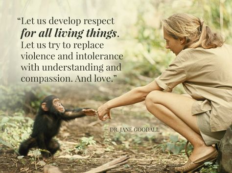 #Quotes #Jane #Goodall #Primates #Wildlife #Chimpanzees Jane Goodall Quotes, Becoming Jane, Jane Goodall, Vegan Quotes, Main Menu, Living Things, Faith In Humanity, Animal Quotes, Inspirational People