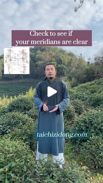 16K views · 2.2K likes | Taichi Zidong on Instagram: "https://taichizidong.com Specific exercise improve symptoms, daily full-body exercises remove root causes.  240256-Check to see if your meridians are clear.  According to the oldest traditional Chinese medicine classic, the Huangdi Neijing, all diseases originate from blocked meridians. This means that if the meridians are unobstructed we will not get sick.  In the practice of traditional Chinese medicine, it is found that when one of your internal organs is sick, pain points will be found on the meridians. For example, if the kidneys are diseased, pain points will be found on the kidney meridians, and we can improve the disease by eliminating the pain points.  In addition to pinching with your hands, you can also use tapping and stretc Chinese Medicine Meridians, Hand Meridian Points, Chi Blocking Points, Knots In Neck Muscle, Meridian Acupuncture, Traditional Chinese Medicine Acupuncture, Japanese Medicine, Tcm Traditional Chinese Medicine, Meridian Points