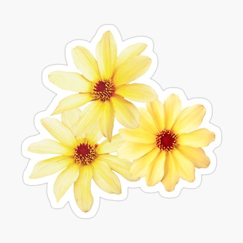 Yellow Stickers Aesthetic Printable, Flower Bouquet Sticker, Yellow Collage, Summer Flower Bouquet, Bouquet Sticker, Yellow Dahlia, Summer Drawings, Aesthetic Desktop Wallpaper, Yellow Flower