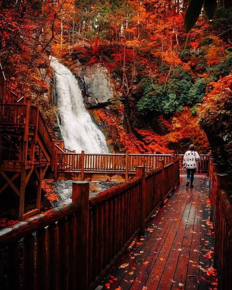 Bushkill Falls, Fall Vacations, Time To Go, Autumn Aesthetic, Machu Picchu, Fall Vibes, Railroad Tracks, The Fall, Pennsylvania